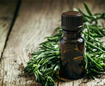 Tea Tree Oil For Fleas - A Guide For Pets, People And Home